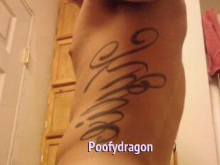 Poofydragon