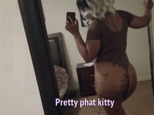 Pretty_phat_kitty