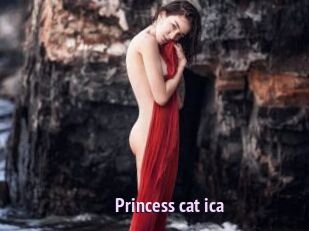 Princess_cat_ica