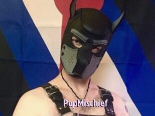 PupMischief