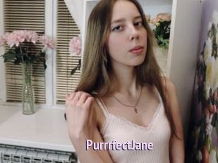 PurrrfectJane