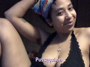 Pussaygalore