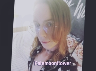 Palemoonflower