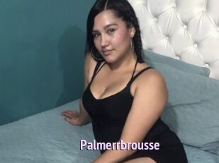 Palmerrbrousse