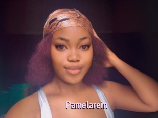 Pamelarein