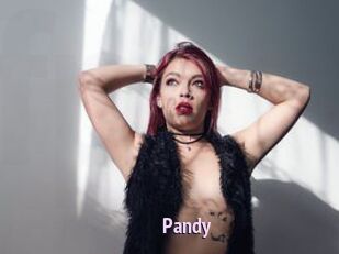 Pandy