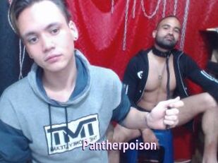 pantherpoison Film Porno