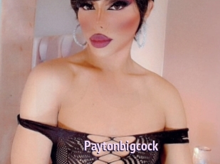 paytonbigcock Film Porno