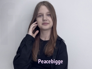 Peacebigge