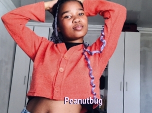 Peanutbug