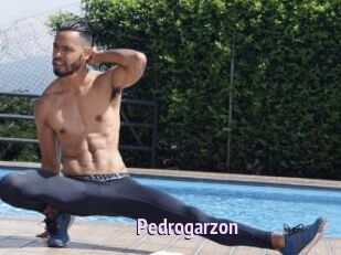 Pedrogarzon