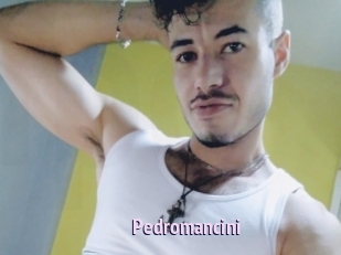 Pedromancini