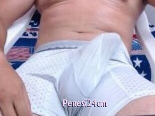 Penesi24cm