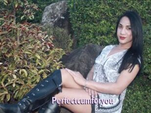 Perfectcumforyou
