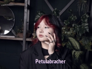 Petulabracher