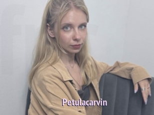 petulacarvin Film Porno