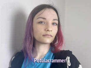 petulacrammer Film Porno