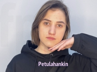 Petulahankin