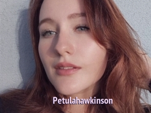Petulahawkinson