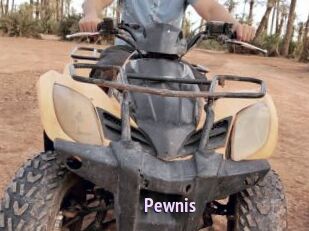 Pewnis