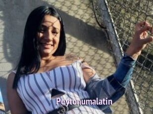 Peytonumalatin