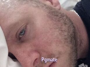 Pgmate