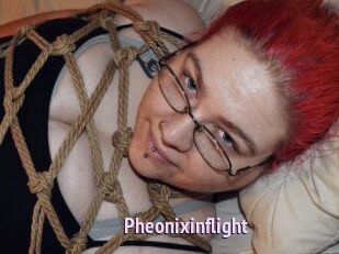 Pheonixinflight