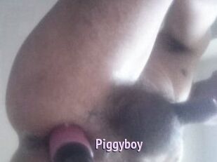 Piggyboy