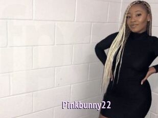 Pinkbunny22