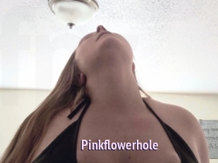 pinkflowerhole Film Porno