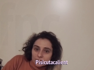 Pisicutacalient