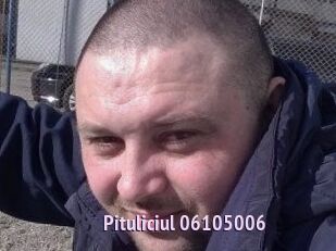 Pituliciul-06105006