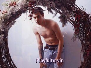Playfultorvin