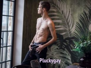 pluckygay Film Porno