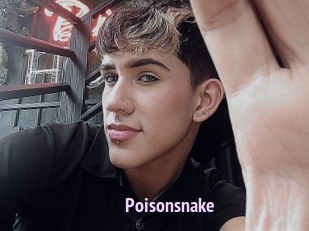 Poisonsnake