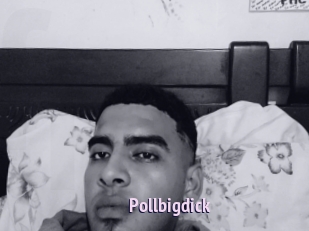 Pollbigdick