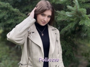 Pollerose