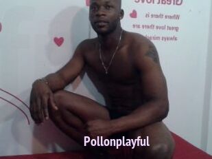 Pollonplayful