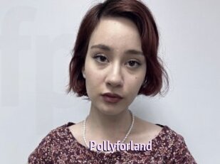 Pollyforland