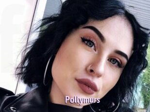Pollymurs
