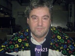 pork23 Film Porno