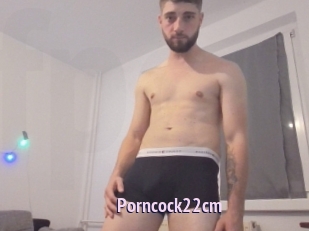 Porncock22cm