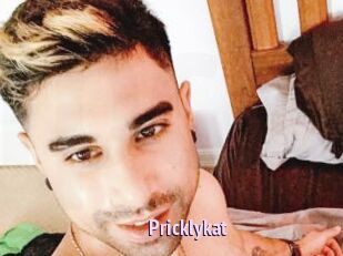 Pricklykat
