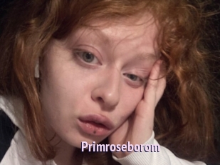 Primroseborom