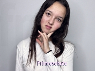 Primrosebute