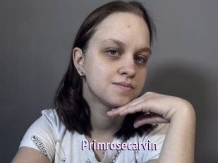 Primrosecarvin