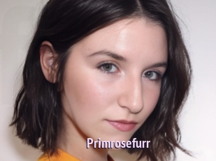 Primrosefurr