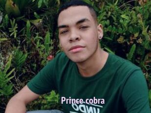prince_cobra Film Porno