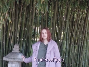 Prudencefigge