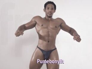 Pumebonyfit